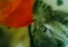 सुंदर और खूबसूरत वॉल 3 सेक्सी मूवी फिल्म वीडियो